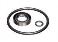 Fluke P5523SK Seal Kit-